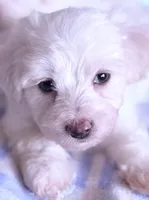 processed/ea854b84-7c30-403d-a5d4-ad207a6381e9/listing/72947df7-b6e9-4023-8546-8f60fd3b1621/7e01c57d-6930-4077-8324-6d2bd4160cc1