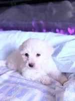 processed/ea854b84-7c30-403d-a5d4-ad207a6381e9/listing/72947df7-b6e9-4023-8546-8f60fd3b1621/a976369f-6600-4a69-831a-caef7ad9c481