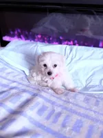 processed/ea854b84-7c30-403d-a5d4-ad207a6381e9/listing/7df9c31b-2d57-4126-9c81-3331f0b601e1/11505b91-1bab-4ac1-b27f-700809518aba