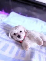 processed/ea854b84-7c30-403d-a5d4-ad207a6381e9/listing/7df9c31b-2d57-4126-9c81-3331f0b601e1/2d3e0cbf-4e86-45e4-9dc2-c8f690af68a5