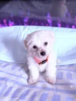 processed/ea854b84-7c30-403d-a5d4-ad207a6381e9/listing/7df9c31b-2d57-4126-9c81-3331f0b601e1/b2ae7971-dfd2-4c5a-b706-3ed90915c65b