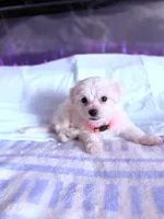 processed/ea854b84-7c30-403d-a5d4-ad207a6381e9/listing/7df9c31b-2d57-4126-9c81-3331f0b601e1/c06fdd35-3278-4ef4-882e-0f502a9d7761