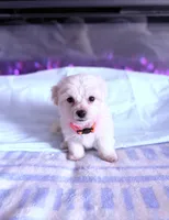 processed/ea854b84-7c30-403d-a5d4-ad207a6381e9/listing/7df9c31b-2d57-4126-9c81-3331f0b601e1/f7581269-31ee-4635-9a76-24f31ef967ab