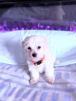 processed/ea854b84-7c30-403d-a5d4-ad207a6381e9/listing/7df9c31b-2d57-4126-9c81-3331f0b601e1/f8b4204d-756c-4353-823b-ee44a898971f