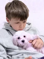 Leo, a male Maltese for sale in Inman, SC – 6 of 7