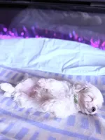 processed/ea854b84-7c30-403d-a5d4-ad207a6381e9/listing/c7fe90ce-00a5-4443-ae5d-721a3e11b254/2cbb4b36-b444-4c90-90a2-1b504738ccdf