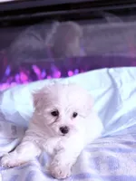 processed/ea854b84-7c30-403d-a5d4-ad207a6381e9/listing/c7fe90ce-00a5-4443-ae5d-721a3e11b254/da7f734f-d60c-44c1-a77b-0eb64b1a60f4