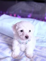 processed/ea854b84-7c30-403d-a5d4-ad207a6381e9/listing/db76c203-b27f-4f2a-b461-939d7e3bf75f/086b72a7-e6fe-41b1-91fb-3cb0fca22f7a