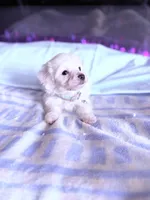 processed/ea854b84-7c30-403d-a5d4-ad207a6381e9/listing/db76c203-b27f-4f2a-b461-939d7e3bf75f/19d9c990-2cf7-4051-adec-8b5168359c9f