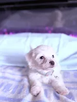 processed/ea854b84-7c30-403d-a5d4-ad207a6381e9/listing/db76c203-b27f-4f2a-b461-939d7e3bf75f/43f3d67b-90f2-4ab1-98f9-992eff835bcd