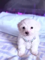 processed/ea854b84-7c30-403d-a5d4-ad207a6381e9/listing/db76c203-b27f-4f2a-b461-939d7e3bf75f/568319f9-63bc-4233-98f4-215a6621ca91