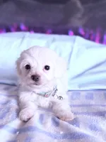 processed/ea854b84-7c30-403d-a5d4-ad207a6381e9/listing/db76c203-b27f-4f2a-b461-939d7e3bf75f/892aabdb-5144-454f-b4e6-0a846f7ffdcb