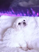 processed/ea854b84-7c30-403d-a5d4-ad207a6381e9/listing/fd2eccbc-99aa-440c-aab1-d84bd72c06fb/0aff22b3-2e3f-4b47-b648-0daefcfddfb7