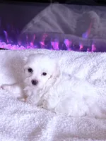 processed/ea854b84-7c30-403d-a5d4-ad207a6381e9/listing/fd2eccbc-99aa-440c-aab1-d84bd72c06fb/48642708-1a74-46b9-9673-5dc2b2932370