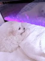 processed/ea854b84-7c30-403d-a5d4-ad207a6381e9/listing/fd2eccbc-99aa-440c-aab1-d84bd72c06fb/4c0e3132-059c-488d-bd35-0b30276202a2