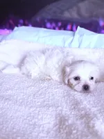 processed/ea854b84-7c30-403d-a5d4-ad207a6381e9/listing/fd2eccbc-99aa-440c-aab1-d84bd72c06fb/5a0e1933-03e2-42eb-9943-8c8b9aff83fd