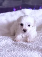 processed/ea854b84-7c30-403d-a5d4-ad207a6381e9/listing/fd2eccbc-99aa-440c-aab1-d84bd72c06fb/711c1fe5-7411-4e05-ab17-723d6a7ffe36