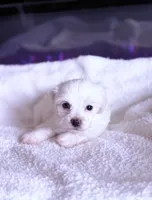 processed/ea854b84-7c30-403d-a5d4-ad207a6381e9/listing/fd2eccbc-99aa-440c-aab1-d84bd72c06fb/dc18169b-1ded-40be-a484-c80a39613cf0