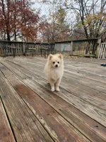 processed/ea93a629-e763-4f4b-af1d-d4fdb5a281ff/facility/2b902d7b-defc-47d0-90dd-55b54403702f