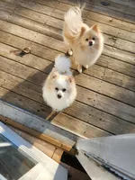 processed/ea93a629-e763-4f4b-af1d-d4fdb5a281ff/facility/5698f83c-3495-495c-958b-931efa94fbe3