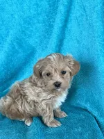 processed/ea94ceea-f7fd-488d-ab8c-ac2a44890743/listing/67c7b32b-f7df-410e-803b-f1c9830e51b0/43511708-85b7-4863-bdc2-638fcec0bd2a