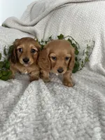 processed/ea94ceea-f7fd-488d-ab8c-ac2a44890743/listing/b878be85-ee56-4397-b5b5-8ea6725e266f/275d1485-c262-4ece-9258-7df3aa3b2683