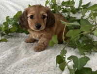 processed/ea94ceea-f7fd-488d-ab8c-ac2a44890743/listing/b878be85-ee56-4397-b5b5-8ea6725e266f/327f93d6-c65a-4ec5-8306-df44289fe698