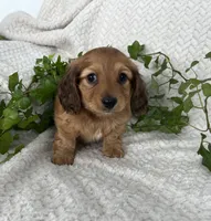 processed/ea94ceea-f7fd-488d-ab8c-ac2a44890743/listing/b878be85-ee56-4397-b5b5-8ea6725e266f/65af2c94-b5c8-4d57-9861-3afc13481585