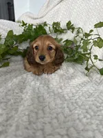 processed/ea94ceea-f7fd-488d-ab8c-ac2a44890743/listing/b878be85-ee56-4397-b5b5-8ea6725e266f/dc1c4002-f058-452e-bbe8-024f084bee8d