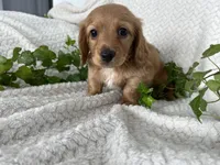 processed/ea94ceea-f7fd-488d-ab8c-ac2a44890743/listing/e21bd807-c44d-4e54-a393-1f20841ceecb/ab06c69c-dfcc-4988-83d5-87c67149f135