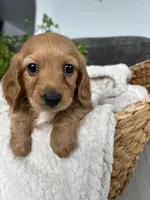 processed/ea94ceea-f7fd-488d-ab8c-ac2a44890743/listing/e21bd807-c44d-4e54-a393-1f20841ceecb/e64227ae-e562-4643-a797-f003d19aedd2