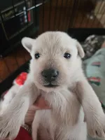 processed/ea9f0cbd-4403-484a-b825-e10589d6408b/listing/d5b25747-1f90-4a04-9db7-fda0bf6cce0f/f708ac4d-f1c3-4bdf-ba4f-0d77d56a05df