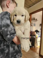 processed/eaab5877-17a5-4540-8199-02494bb4dc6d/listing/8ac4e673-93b6-4bc4-a925-657f28931b04/f472b96a-f1ae-41e1-ba35-17e757b1b1de