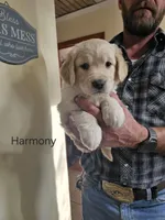 processed/eaab5877-17a5-4540-8199-02494bb4dc6d/listing/d7160dcb-5c97-44f3-ab83-b54f200e2654/2640e0c8-108a-4b1e-a041-762d9a8208d9