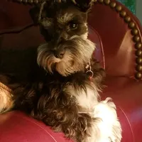 processed/eab07760-9b20-43df-9a20-8c983c356c2f/facility/0a58af40-3899-4fb2-8369-13509100f4de