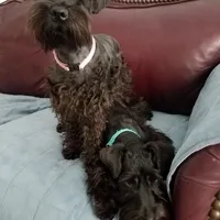 processed/eab07760-9b20-43df-9a20-8c983c356c2f/facility/19cea054-af42-4ba5-9d56-dbb0ec15ec36