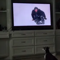 processed/eab07760-9b20-43df-9a20-8c983c356c2f/facility/37cbd957-3f09-482a-b8c0-d58d5b328dd9