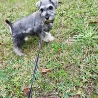 processed/eab07760-9b20-43df-9a20-8c983c356c2f/facility/55f40c80-4d71-421c-834b-e40032c1c2ff