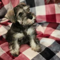 processed/eab07760-9b20-43df-9a20-8c983c356c2f/facility/7900320f-8fe3-4a1f-b4ac-39ca5fff9e03