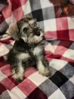 processed/eab07760-9b20-43df-9a20-8c983c356c2f/facility/7900320f-8fe3-4a1f-b4ac-39ca5fff9e03