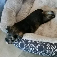 processed/eab07760-9b20-43df-9a20-8c983c356c2f/facility/89b6d1f1-8d80-47b2-b6e5-f586896bc690