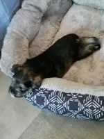 processed/eab07760-9b20-43df-9a20-8c983c356c2f/facility/89b6d1f1-8d80-47b2-b6e5-f586896bc690