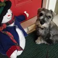 processed/eab07760-9b20-43df-9a20-8c983c356c2f/facility/a7a94753-b33a-4ede-b5f8-01d82ecf8db1