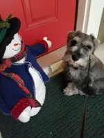 processed/eab07760-9b20-43df-9a20-8c983c356c2f/facility/a7a94753-b33a-4ede-b5f8-01d82ecf8db1