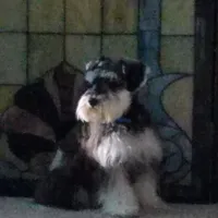 processed/eab07760-9b20-43df-9a20-8c983c356c2f/facility/bcea33c4-fef0-4ed7-a945-0d8c4359732d