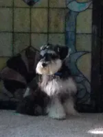 processed/eab07760-9b20-43df-9a20-8c983c356c2f/facility/bcea33c4-fef0-4ed7-a945-0d8c4359732d