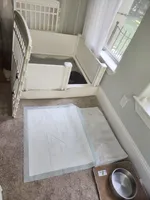 processed/eab07760-9b20-43df-9a20-8c983c356c2f/facility/d6d78e32-03dd-4738-9dec-28c5f2ec1db7