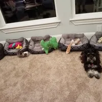 processed/eab07760-9b20-43df-9a20-8c983c356c2f/facility/ec2c1ec1-9e83-4e5b-a13a-499e54499148