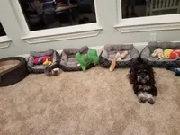 processed/eab07760-9b20-43df-9a20-8c983c356c2f/facility/ec2c1ec1-9e83-4e5b-a13a-499e54499148