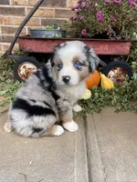 processed/eab342b7-f224-4f4a-a948-605e507ef950/facility/17dc5341-22e1-4c23-b719-e92878d9d4bb